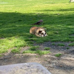 Meet your Posher, Jazleen